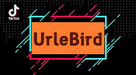 urkebird|urlebird tiktok viewer.